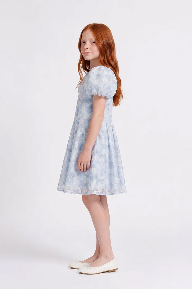 Girls Tulle Ruffle Floral Embroidered Sky Blue Party Dress - Suviara Little - Photo 4