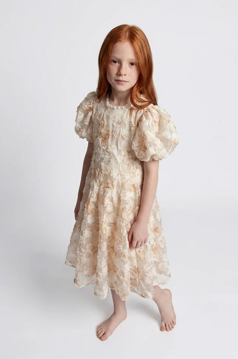 Floral Embroidered Tulle Party Dress - Suviara Little - Photo 4