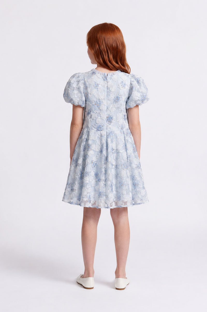 Girls Tulle Ruffle Floral Embroidered Sky Blue Party Dress - Suviara Little - Photo 3