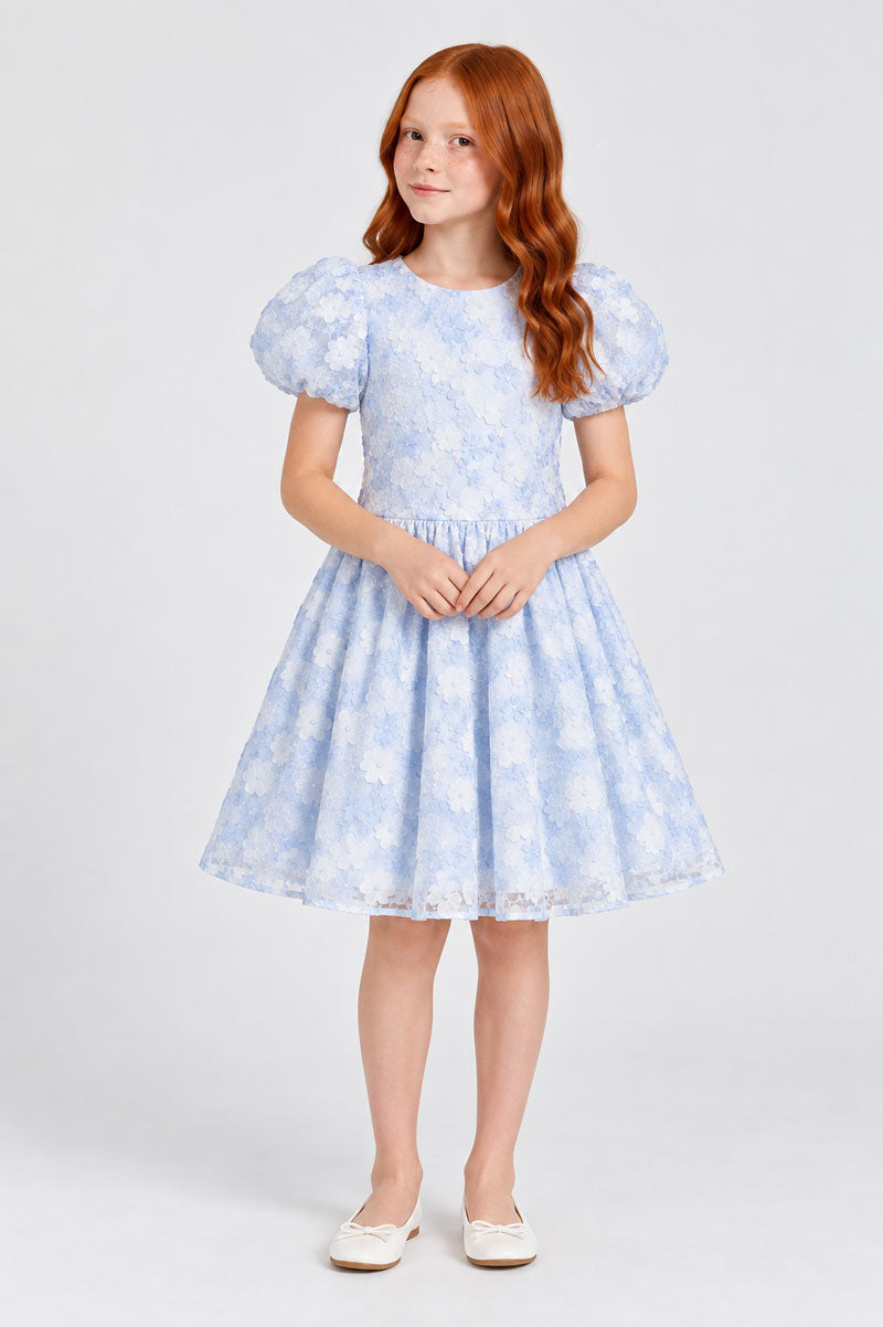 Girls Tulle Ruffle Floral Embroidered Sky Blue Party Dress - Suviara Little