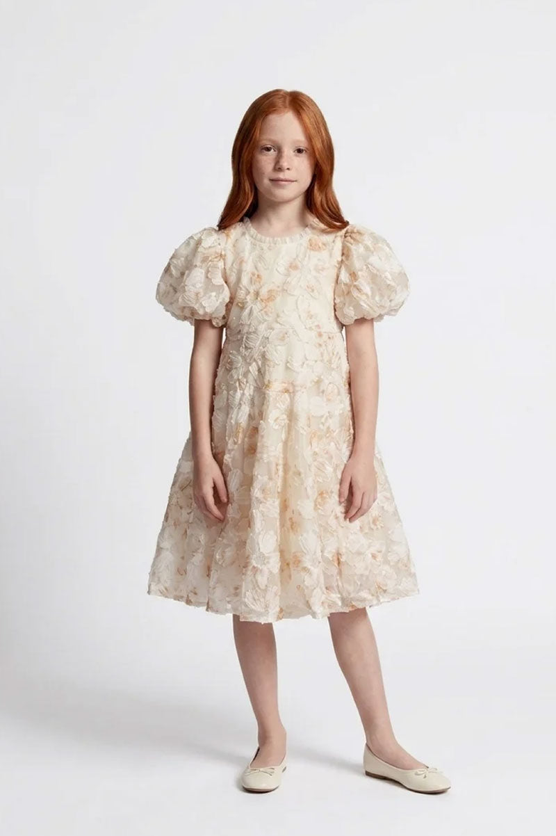 Floral Embroidered Tulle Party Dress - Suviara Little